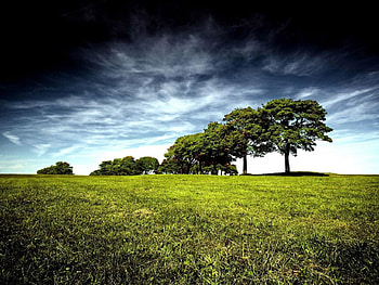 Dark Beautiful Nature, clouds, trees, scencery, view, sky, beautiful, nature, grass HD wallpaper