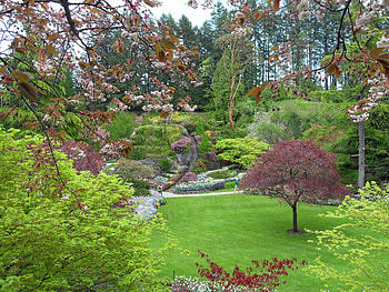 Nature, Canada, Branches, Design, Butchart Victoria, Buchart Victoria HD wallpaper
