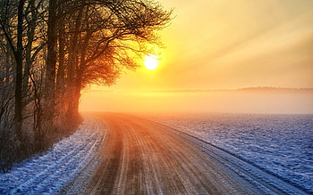 Sunrise, pathway, path, misty, mist, fog, foggy, clouds, trees, road, nature, sky, sun HD wallpaper