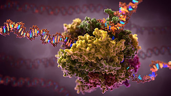 Biology wonders, DNA transcription, Plant biology, Visual HD wallpaper