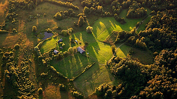 Lithuania travels, Beautiful landscapes, Serene nature, Stunning scenery HD wallpaper