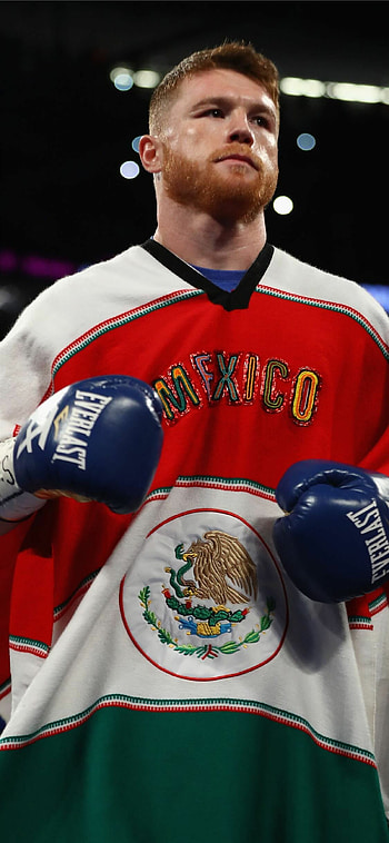 Saul Alvarez, Boxing history, Mexican fighter HD phone wallpaper