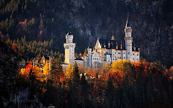 Germany autumn, Vibrant colors, Golden foliage, Nature's spectacle HD wallpaper