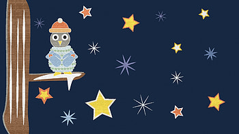Cozy Owl, winter, night, cozy, kids, stars, owl HD wallpaper
