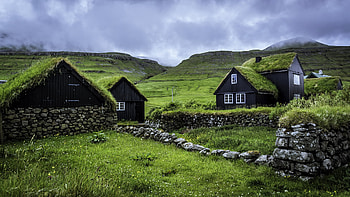House covered in Moss, grass, sky, Moss, house HD wallpaper