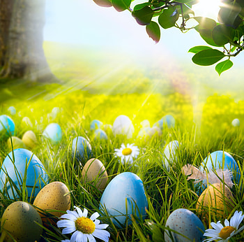 easter holidays, holidays, grss, easter, eggs HD wallpaper