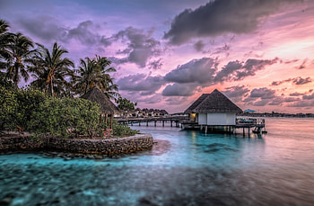 Summer, sea, Palms, sunset HD wallpaper