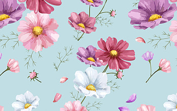 Texture, blue, paper, summer, wind, pink, flower, cosmos, vara, pattern HD wallpaper