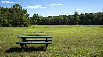 Serene Picnic Table in Green Pasture, picnic table HD wallpaper