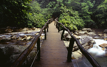 Landscape, Rivers, Bridges, Trees, Stones HD wallpaper