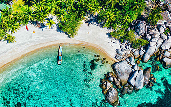 Ko Samui views, Coastal beauty, Palm trees, Top view HD wallpaper