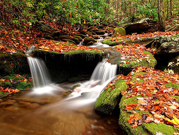 Landscape, Water, Rivers, Stones HD wallpaper