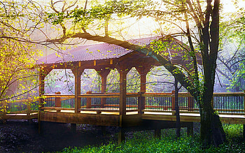 Covered Bridge in the Forest, Blue Ridge Mountains, river, leaves, landscape, trees, spring, usa HD wallpaper