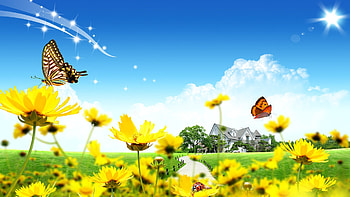 The Sunny Spring Windows 8.1 Theme | All For Windows 10 HTML code HD wallpaper