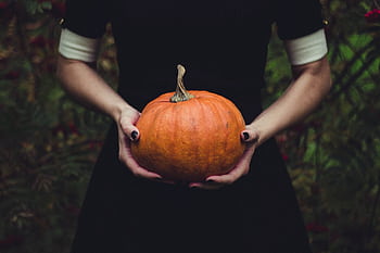 Person holding a bright orange pumpkin against outdoor foliage, perfect for Halloween themes. HD wallpaper
