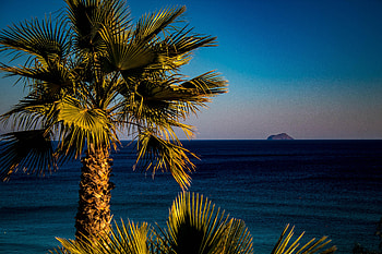 Nature, Sea, Palm, Tropics HD wallpaper
