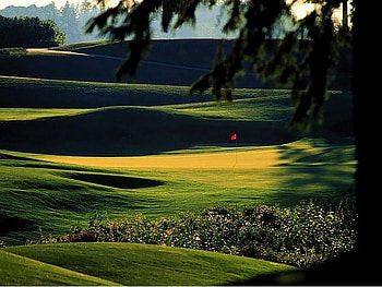 Golf, golf course, nature, green, tree HD wallpaper