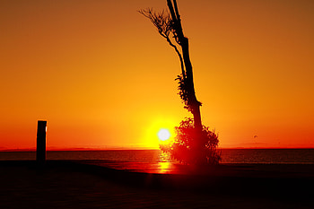 yellow sunrise, water, sun, sunrise, yellow HD wallpaper