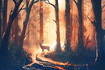 Deer Forest Sunbeams, deer, forest, artist, artwork, digital-art, deviantart HD wallpaper