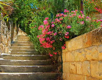 Stone Steps Flowers, art , red, beautiful, flowers, stone wahl, petunias, stone steps HD wallpaper