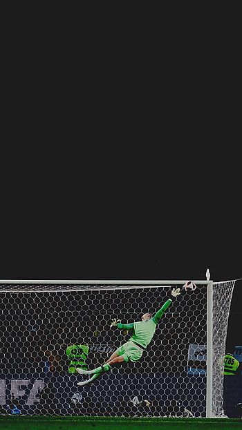 Jordan Pickford, Goal (Sports) HD phone wallpaper
