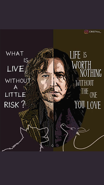 Sirius Black, magic, fantasy, harrypotter, PrisonerofAzkaban, harry, siriusblack, azkaban, potter HD phone wallpaper