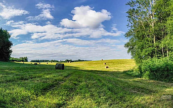 Latvian Landscape, trees, clouds, Latvia, field HD wallpaper