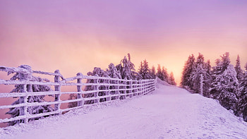 Winter at Brasov, Romania, snow, fence, landscape, trees, colors, sky, sunset HD wallpaper