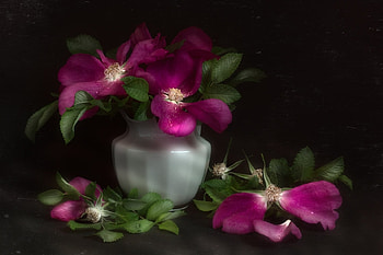 Still Life, purple, love, flower HD wallpaper