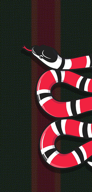 Gucci Kingsnake , Gucci logo, Designer , Supreme fashion HD phone wallpaper