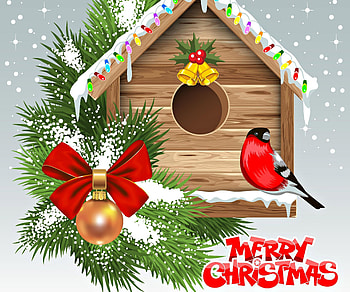 Christmas Birdhouse, merry, bird, christmas, house HD wallpaper