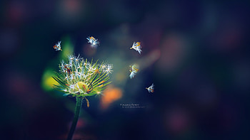 Falling Apart, artist, deviantart HD wallpaper