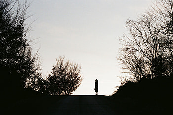 Trees, Twilight, Dark, Silhouette, Miscellanea, Miscellaneous, Road, Dusk, Hill HD wallpaper
