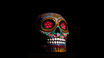 Multi Color Skull , skull, artist, artwork, digital-art HD wallpaper