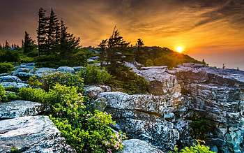 Forest, Mountains, Sunset, Landscape HD wallpaper