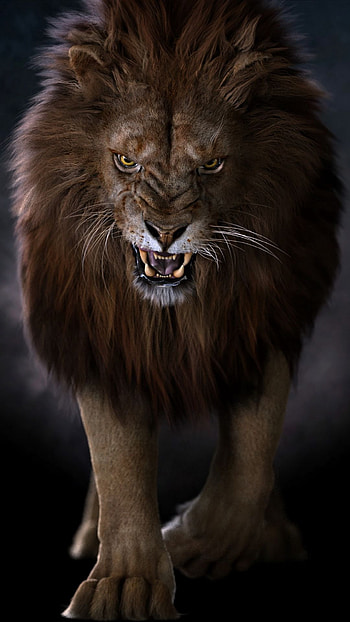 The king, big_cats, animal, angry, wild, lion HD phone wallpaper