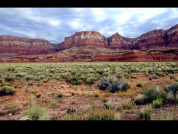 THE DESERTS, hills, deserts, trees, sky, nature, grass, mountains HD wallpaper