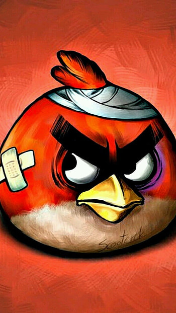 Angry Birds, Injured, Red Bird HD phone wallpaper