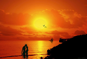 Silhouettes, sunny, birds, graphy, gold, sunrise, beach, idilyc, , water, sun, ocean, sunset, together, sunshine, golden, lovers, rocks, love, clouds, nature, sky HD wallpaper