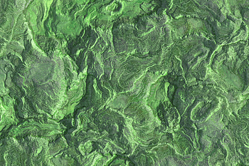 Structure, Texture, Textures, Earth, Land, Geological Surfaces HD wallpaper