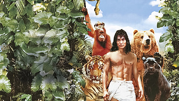 The Jungle Book 1994, Backdrops, Movie Database Tmdb HD wallpaper
