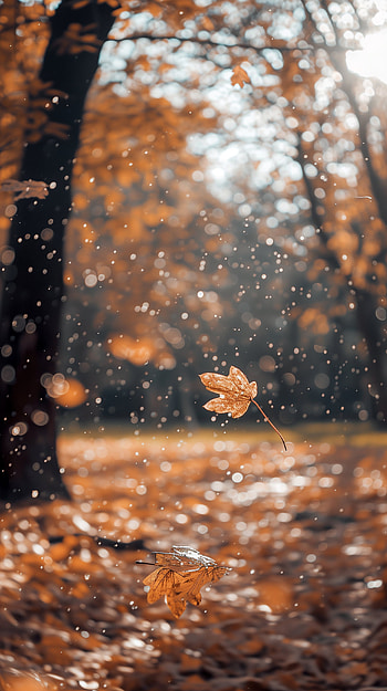 Autumn Delight: Golden Leaf, Autumn, leaf, nature, sunlight HD phone wallpaper