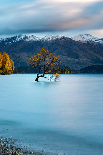 Tops, Nature, Mountains, Snow, Vertex, Lake, Wood, Tree, Snow Covered, Snowbound HD phone wallpaper