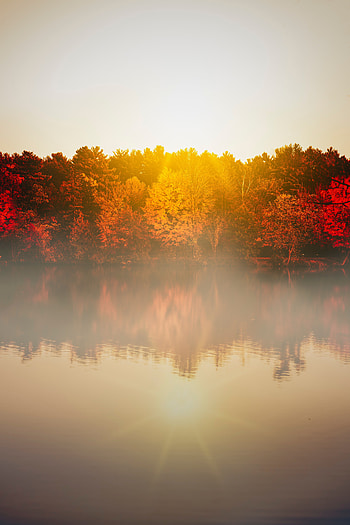 Landscape, Nature, Trees, Lake, Fog, Sunlight HD phone wallpaper