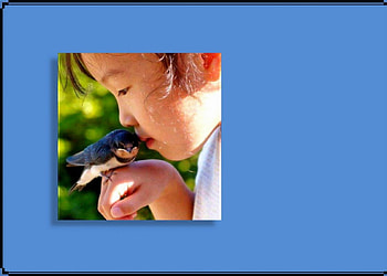 mutually, bird, child, secret HD wallpaper