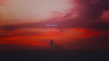 Never Seetle, biker, alone, sunset, artist, artwork, digital-art HD wallpaper