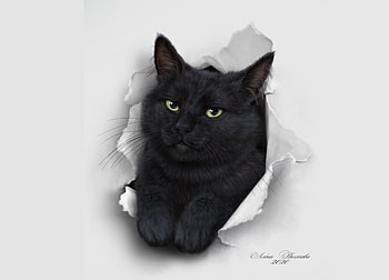 Hello!, white, black, elena roslyakova, alenaekaterinburg, cat, paper, pisici, fantasy, luminos, paw HD wallpaper