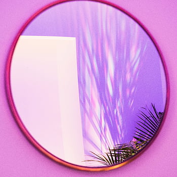 Round mirror reflecting colorful light patterns and shadow of a plant. Ideal for abstract and design themes. HD phone wallpaper
