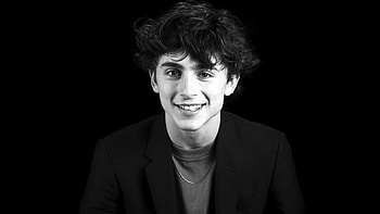Timothee Chalamet , Stunning visuals HD wallpaper
