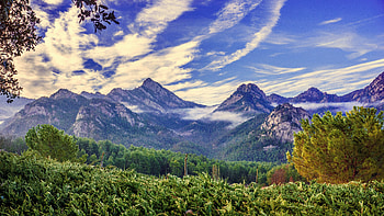 Forest, mountains, nature, clouds HD wallpaper